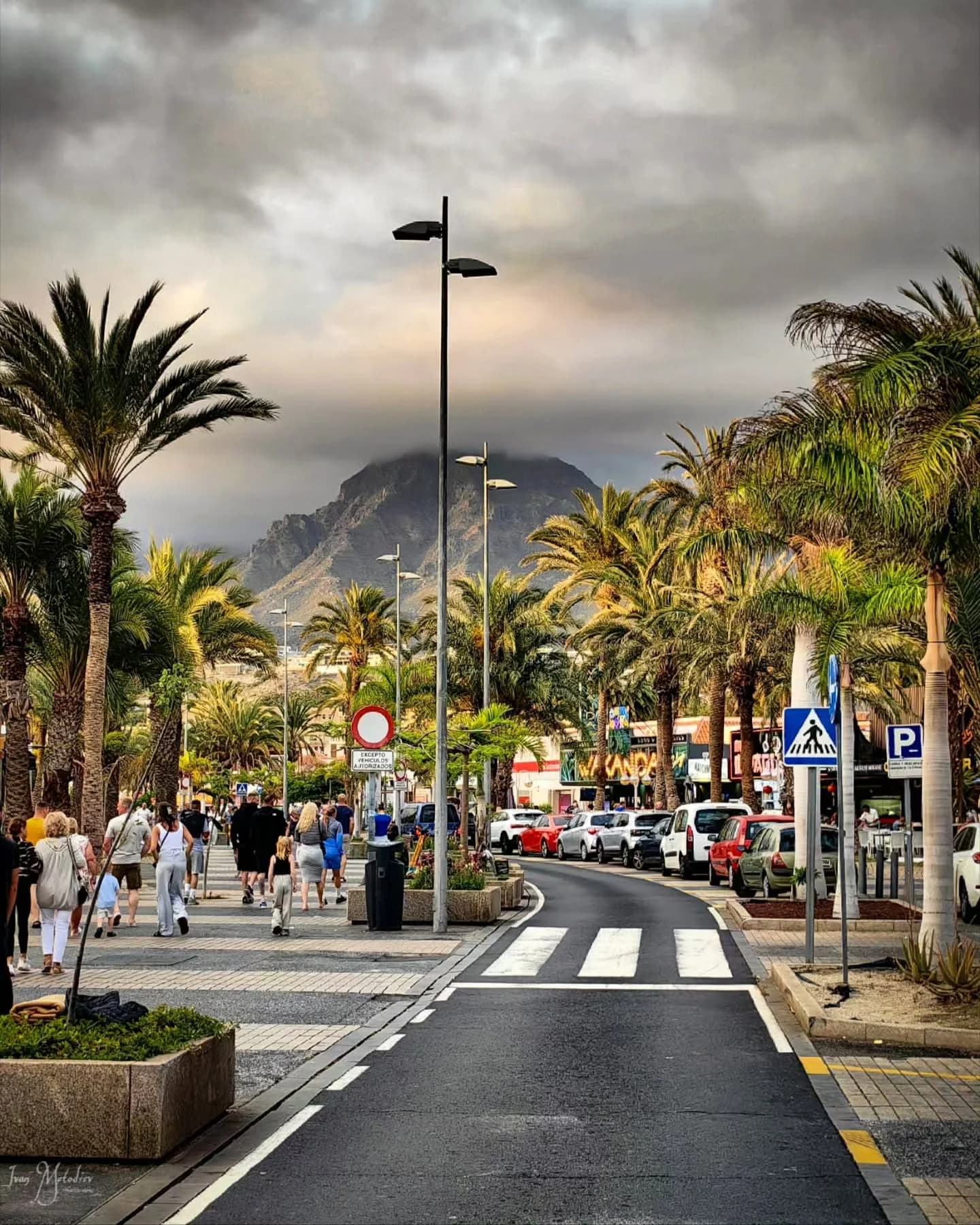Playa de las Americas - Guide de quartier