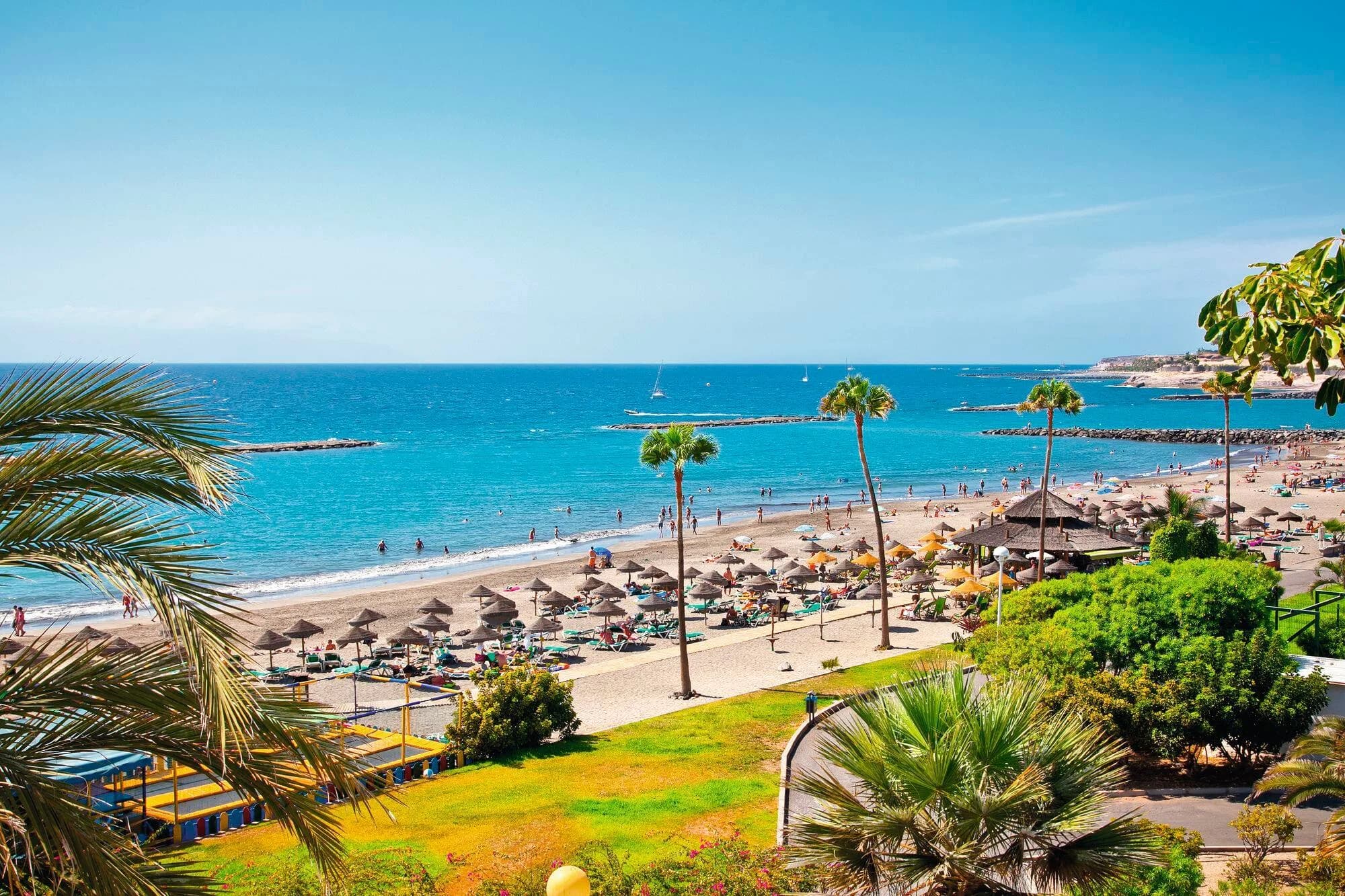 Playa de las Americas - Area Guide