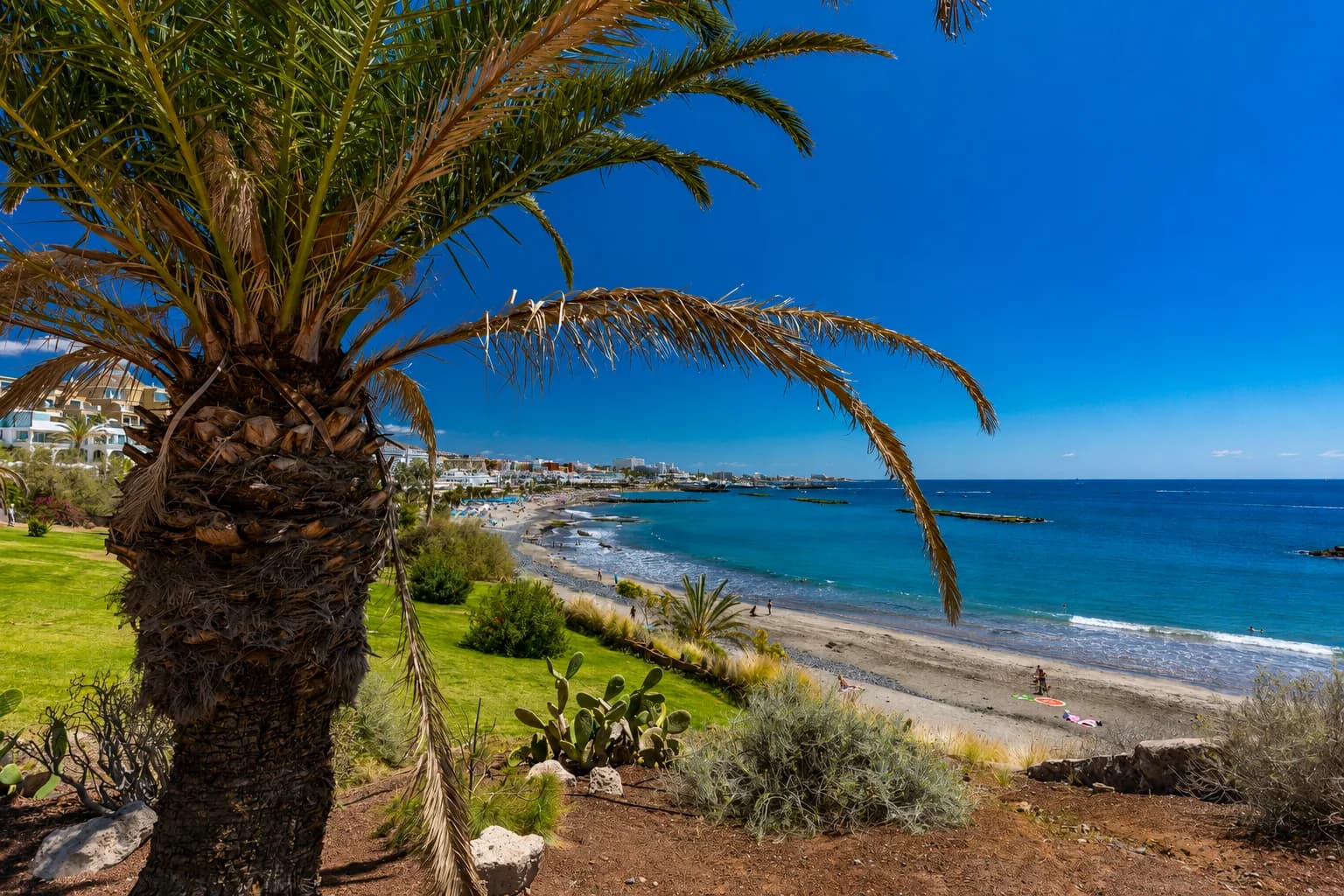 Playa de las Americas - Area Guide
