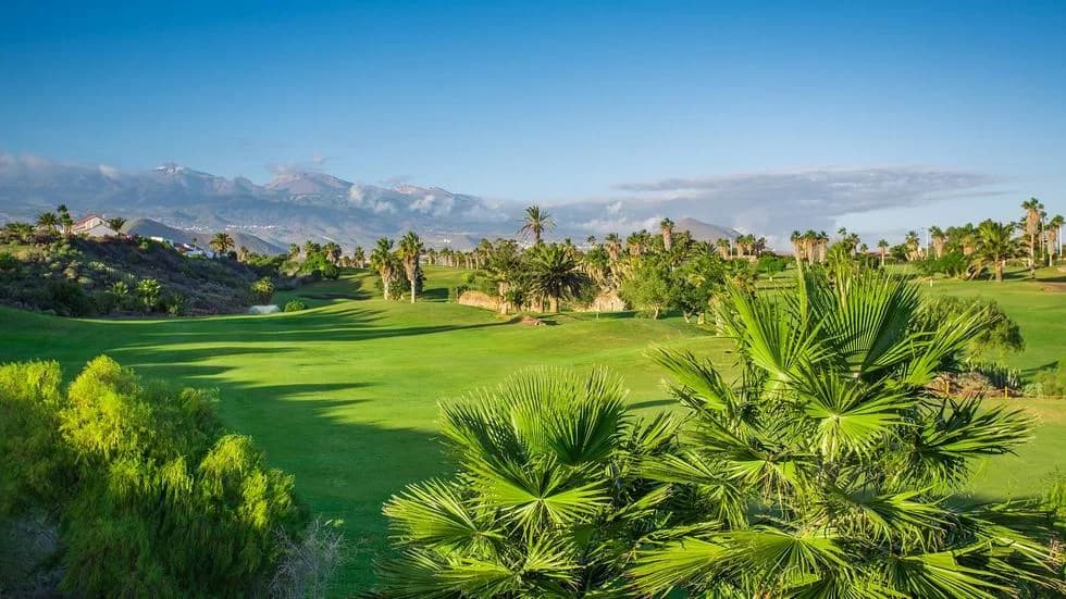 Life in Golf del Sur