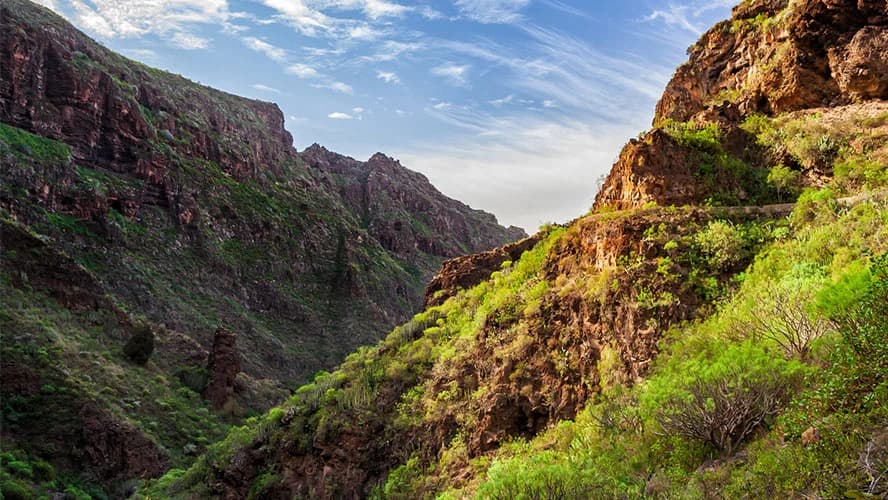 Adeje, Tenerife - Area Guide