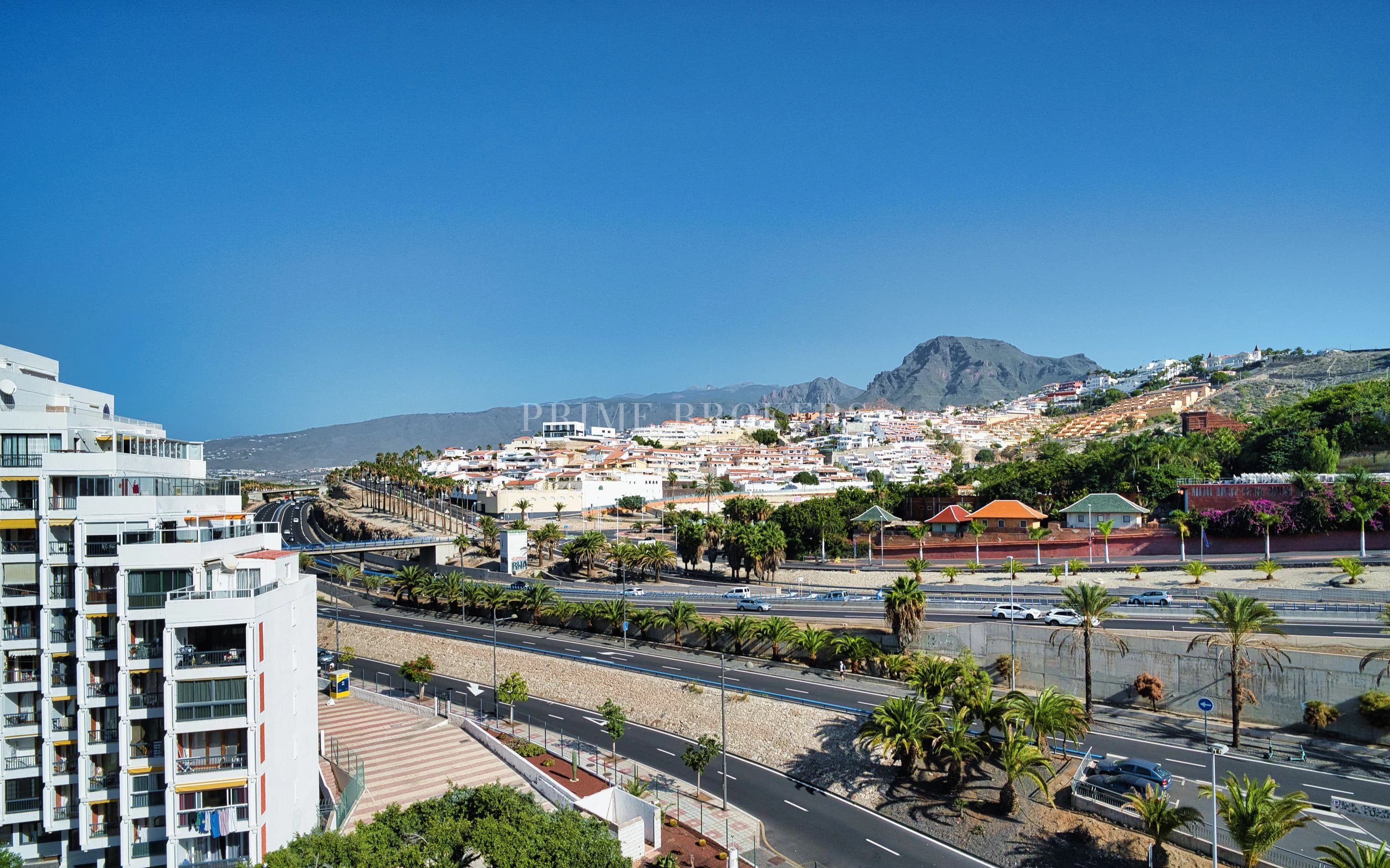 Excellent Studio in Las Americas