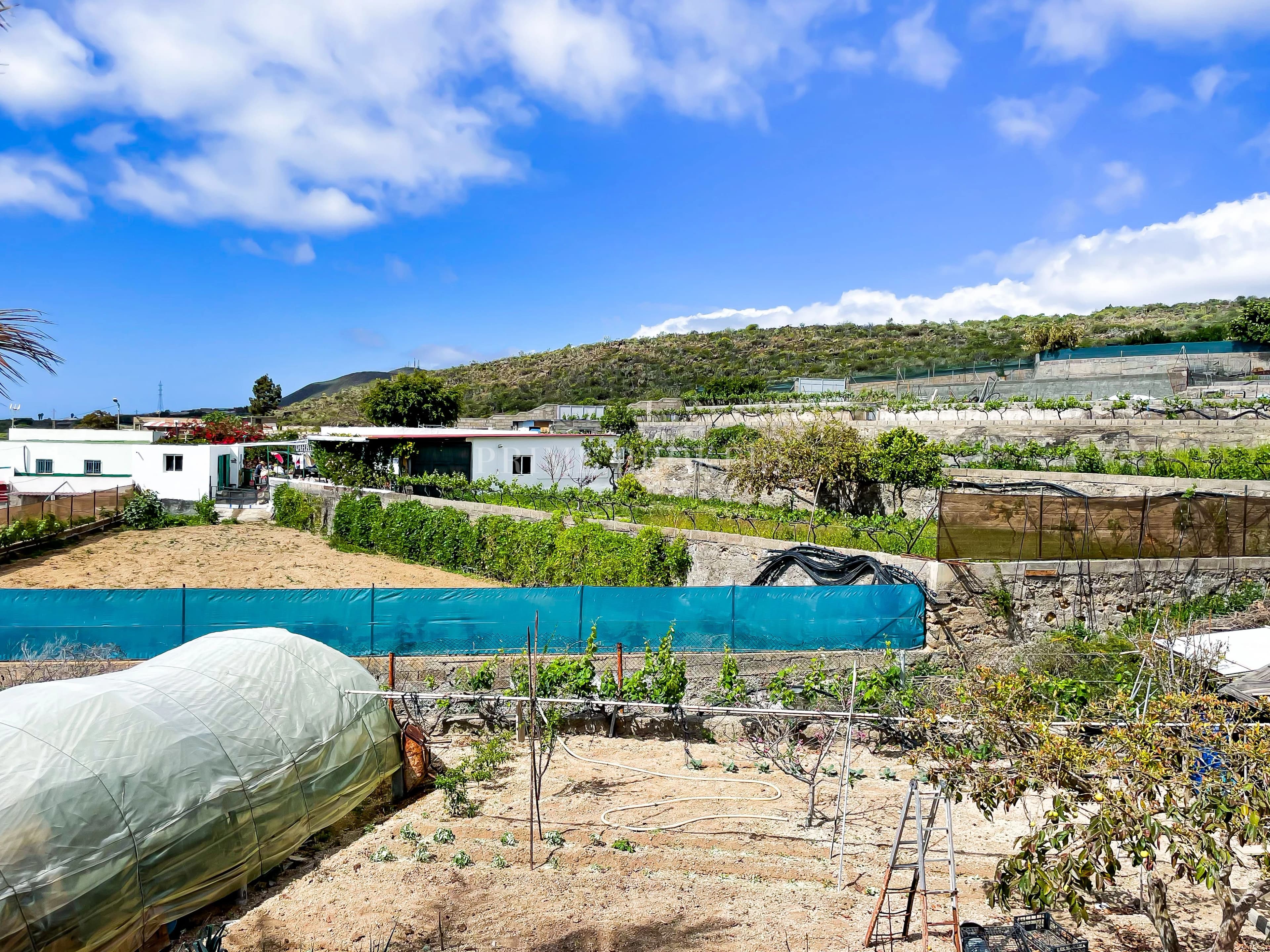 House with 8.132 m² plot in Granadilla de Abona