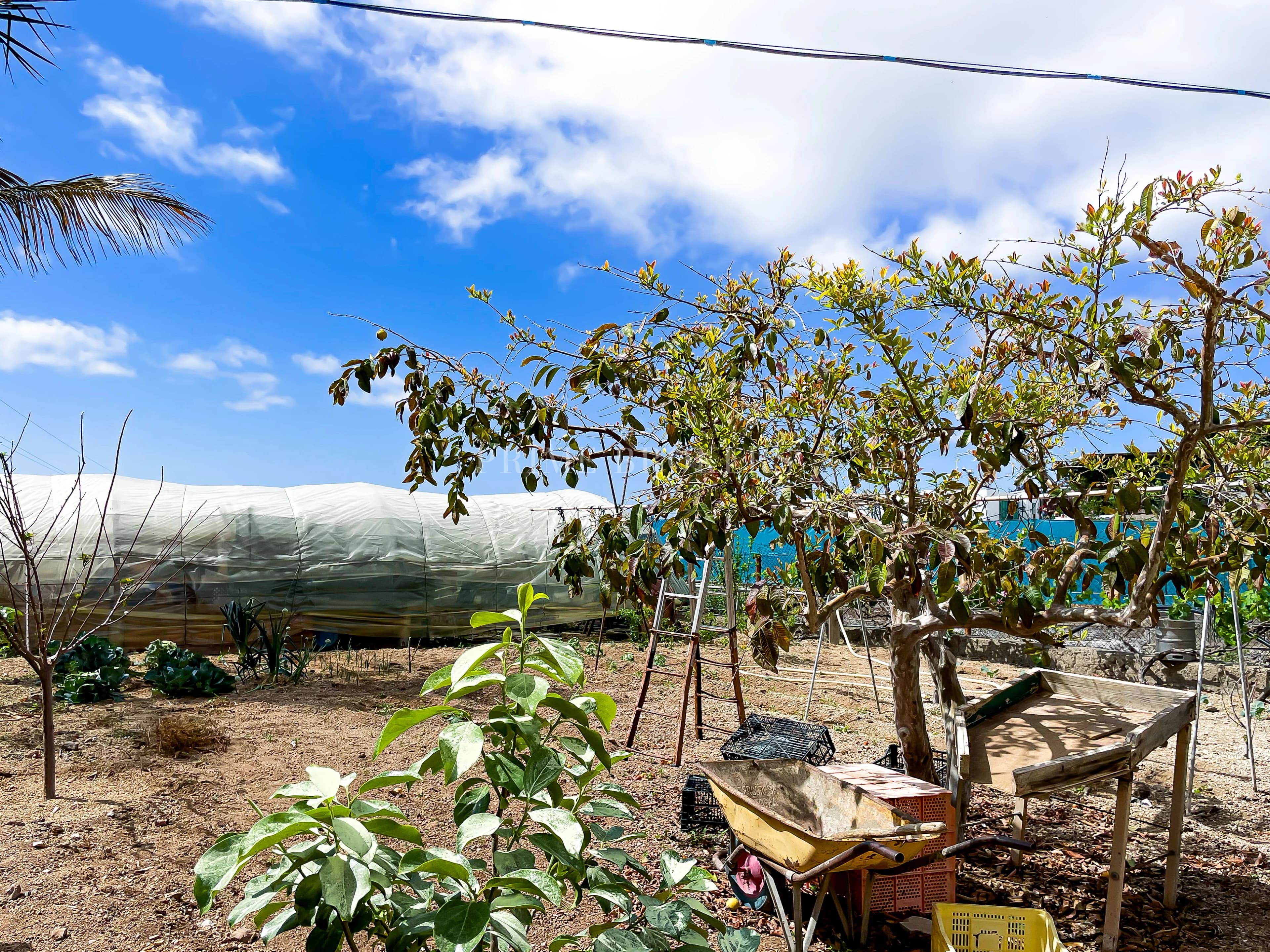 House with 8.132 m² plot in Granadilla de Abona