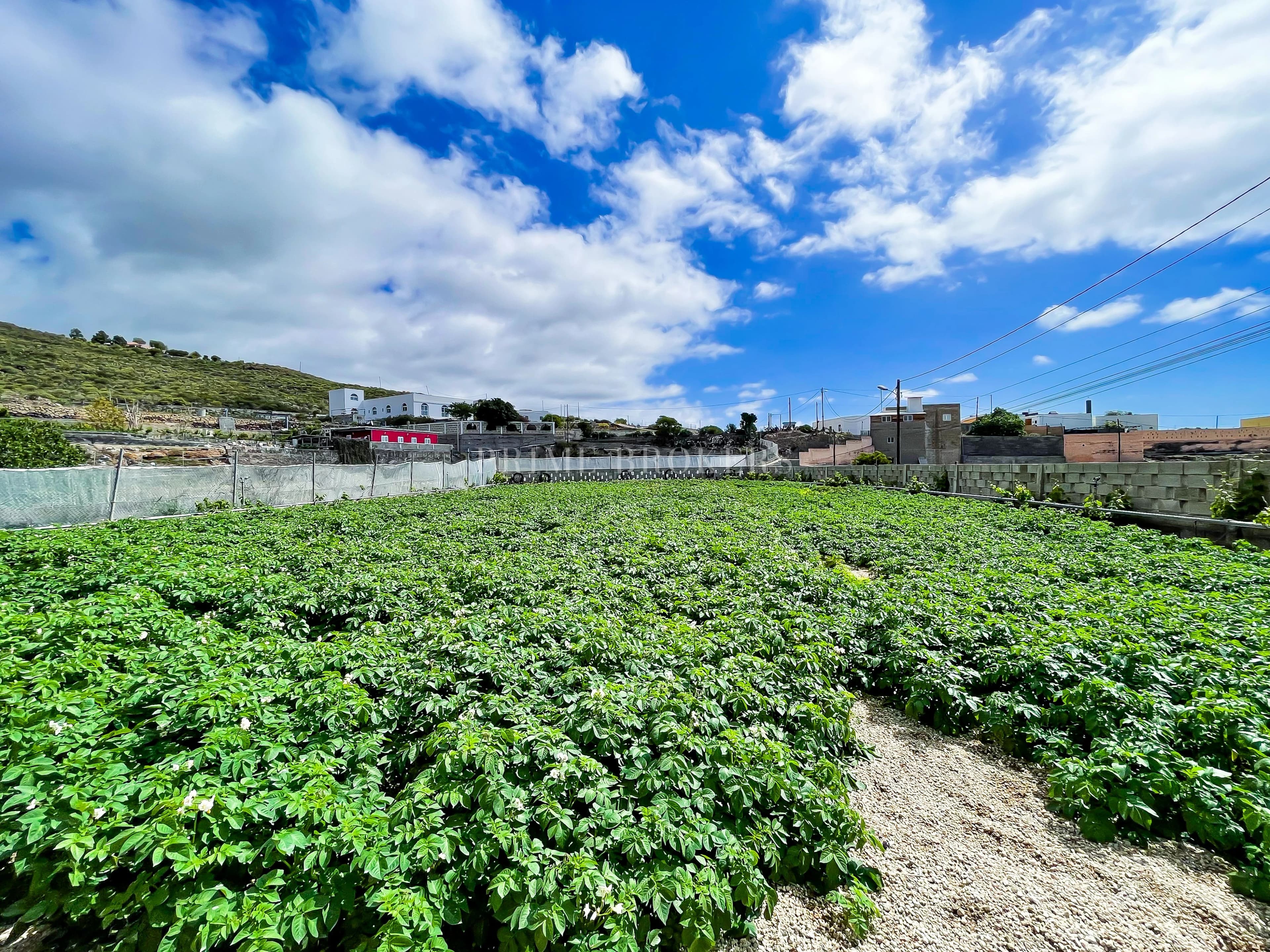 House with 8.132 m² plot in Granadilla de Abona