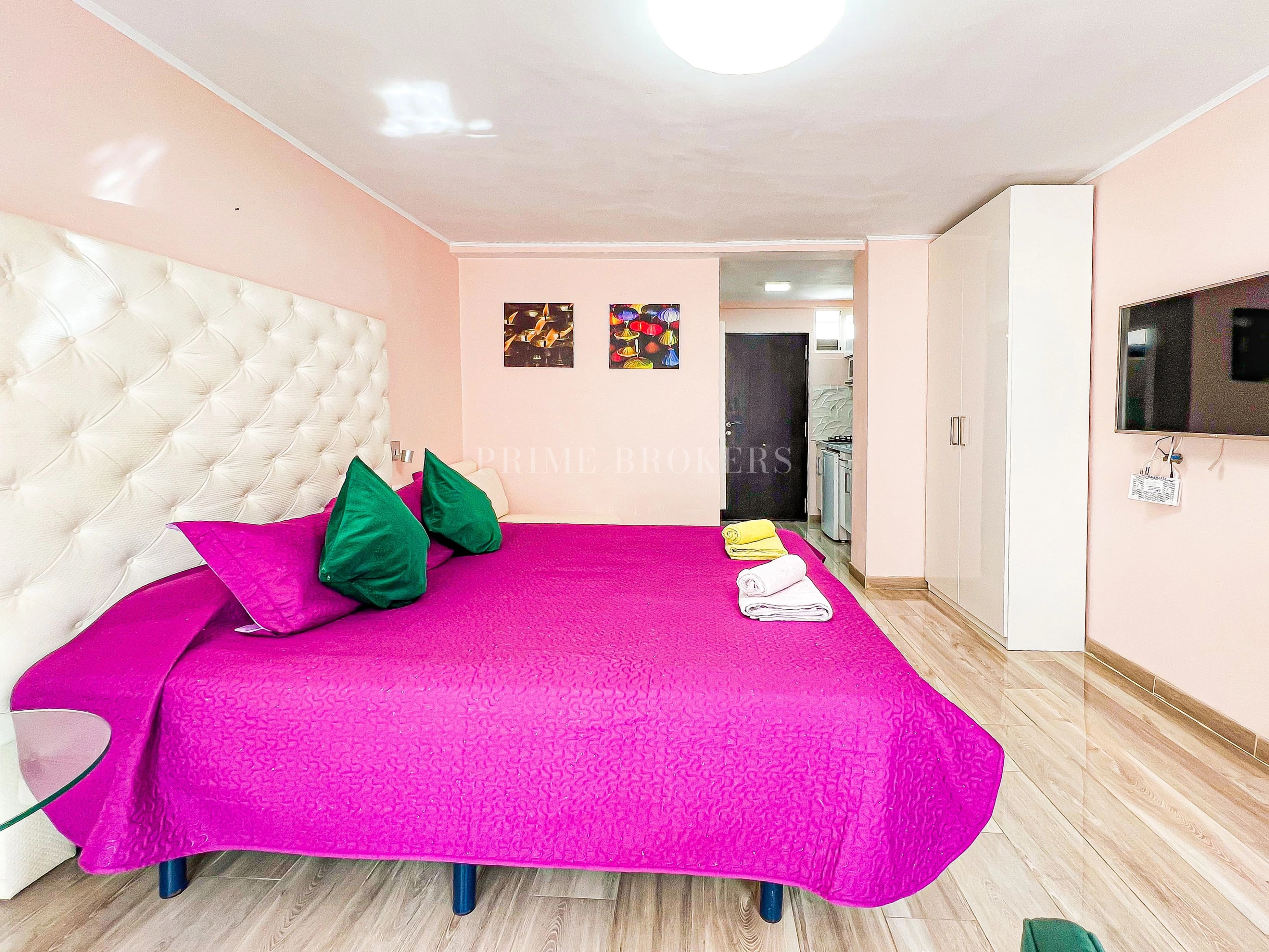 Studio in Las Americas for sale